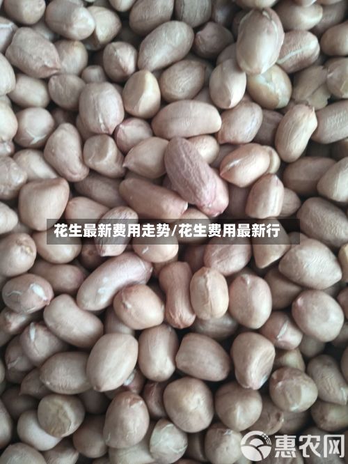 花生最新费用走势/花生费用最新行-第3张图片