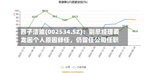 西子洁能(002534.SZ)：副总经理姜龙因个人原因辞任	，仍留任公司任职-第3张图片