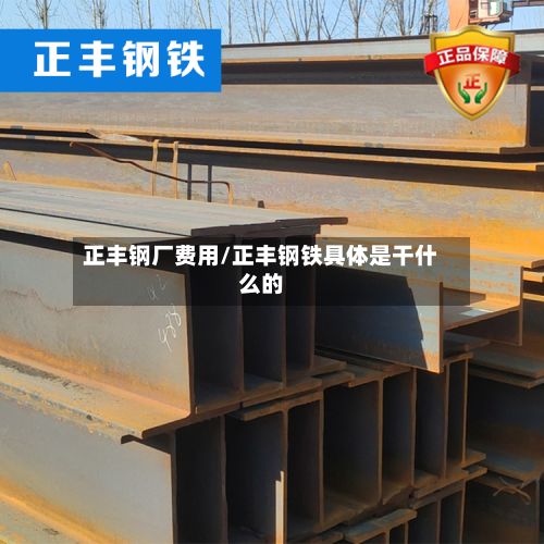 正丰钢厂费用/正丰钢铁具体是干什么的