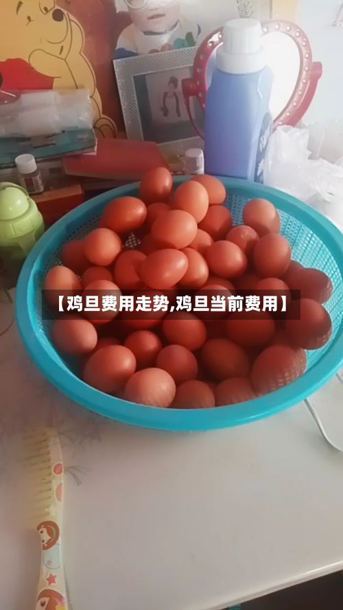 【鸡旦费用走势,鸡旦当前费用】-第2张图片