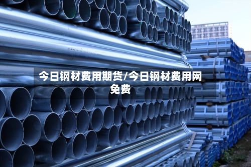 今日钢材费用期货/今日钢材费用网免费