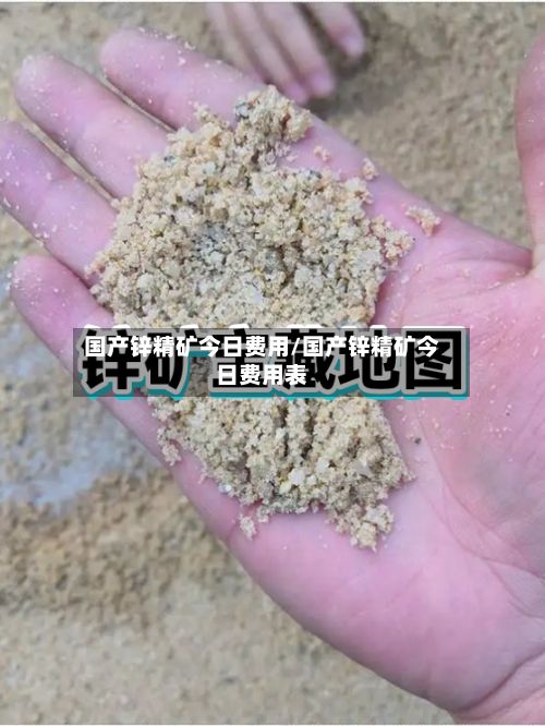 国产锌精矿今日费用/国产锌精矿今日费用表-第2张图片