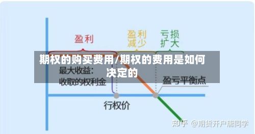 期权的购买费用/期权的费用是如何决定的-第2张图片