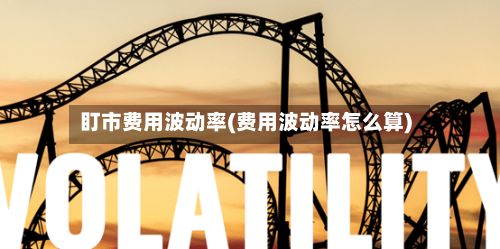 盯市费用波动率(费用波动率怎么算)