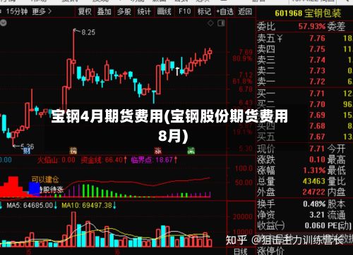 宝钢4月期货费用(宝钢股份期货费用8月)-第3张图片