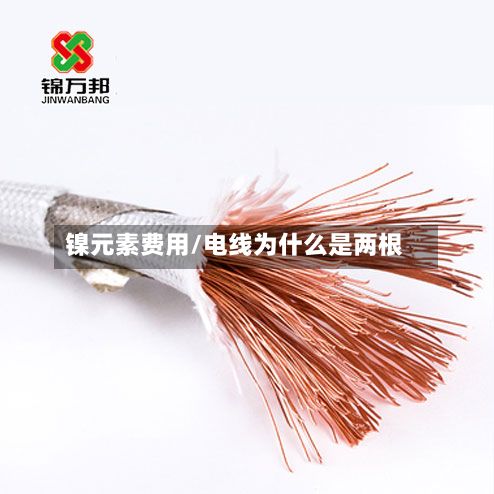 镍元素费用/电线为什么是两根
