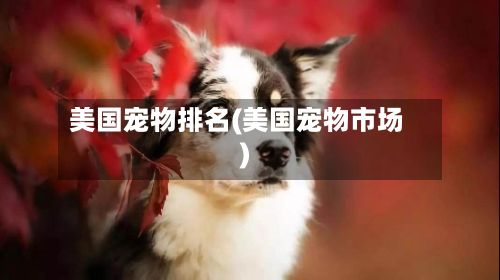 美国宠物排名(美国宠物市场)