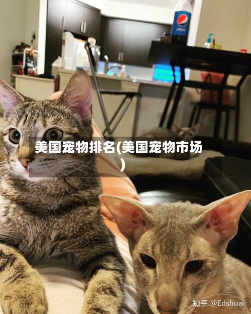 美国宠物排名(美国宠物市场)-第2张图片
