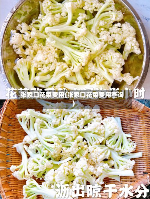 张家口花菜费用(张家口花菜费用查询)-第3张图片
