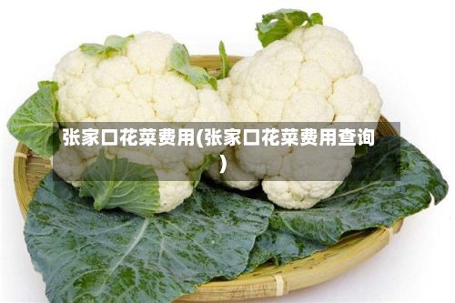张家口花菜费用(张家口花菜费用查询)-第2张图片