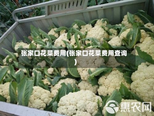 张家口花菜费用(张家口花菜费用查询)