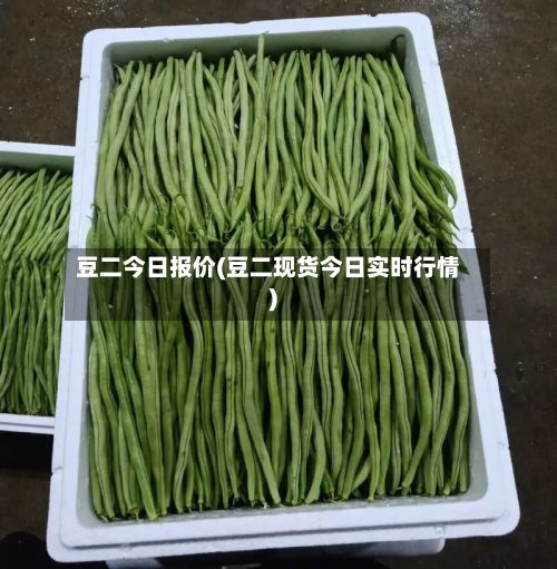 豆二今日报价(豆二现货今日实时行情)-第2张图片