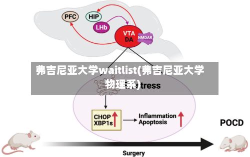 弗吉尼亚大学waitlist(弗吉尼亚大学物理系)-第3张图片