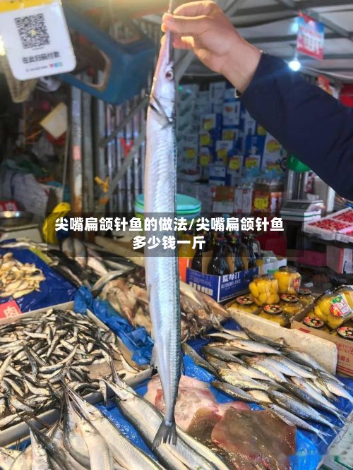 尖嘴扁颌针鱼的做法/尖嘴扁颌针鱼多少钱一斤