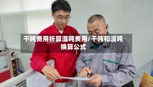 干吨费用折算湿吨费用/干吨和湿吨换算公式