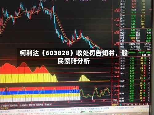柯利达（603828）收处罚告知书	，股民索赔分析-第2张图片