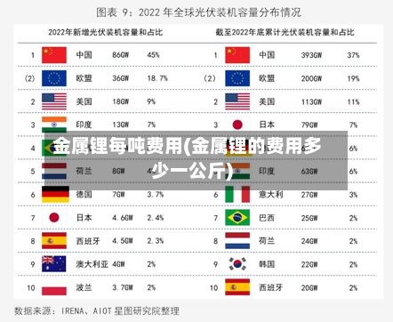 金属锂每吨费用(金属锂的费用多少一公斤)