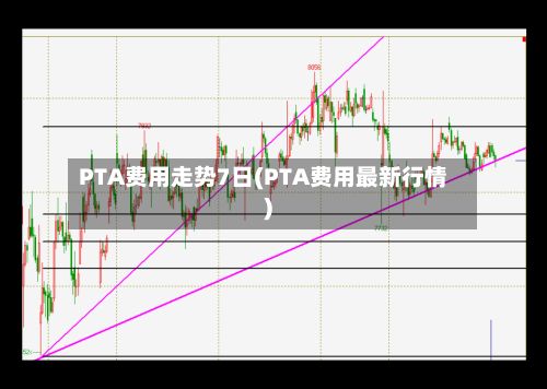 PTA费用走势7日(PTA费用最新行情)