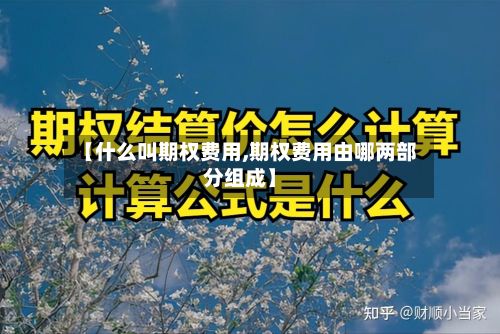 【什么叫期权费用,期权费用由哪两部分组成】
