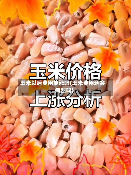 玉米以后费用能涨吗(玉米费用还会疯涨吗)-第2张图片