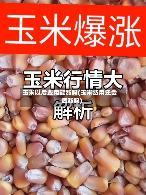 玉米以后费用能涨吗(玉米费用还会疯涨吗)-第3张图片