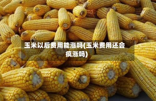 玉米以后费用能涨吗(玉米费用还会疯涨吗)
