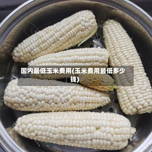 国内最低玉米费用(玉米费用最低多少钱)-第2张图片