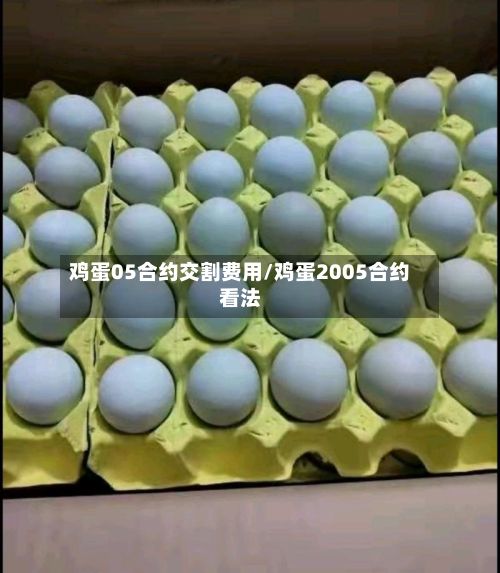 鸡蛋05合约交割费用/鸡蛋2005合约看法-第3张图片