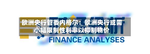欧洲央行管委内格尔:欧洲央行或需小幅限制性利率以抑制物价-第2张图片