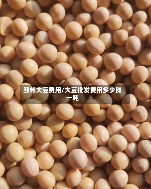 邳州大豆费用/大豆批发费用多少钱一吨