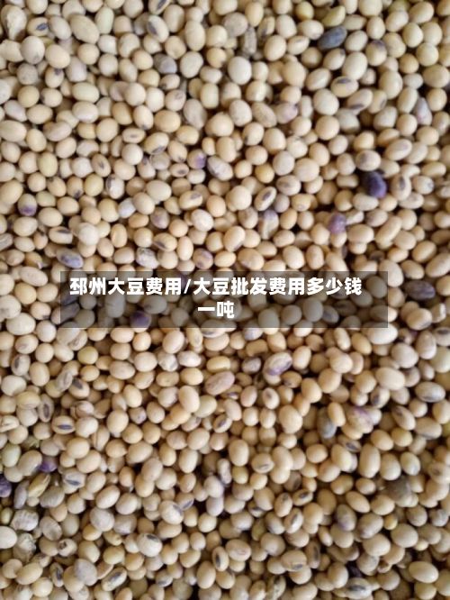 邳州大豆费用/大豆批发费用多少钱一吨-第2张图片