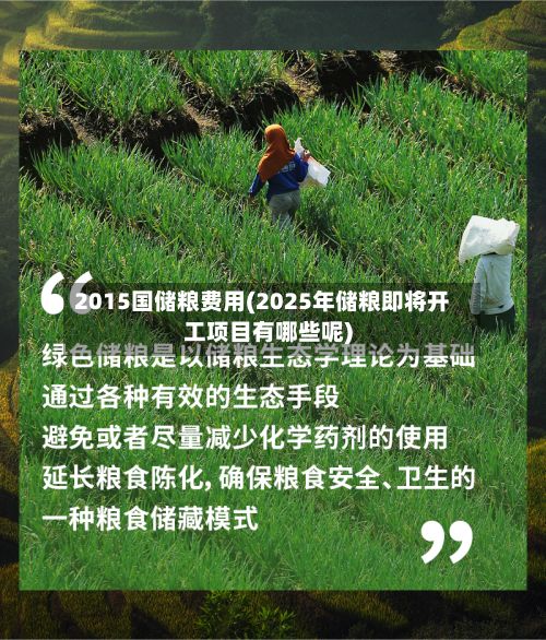 2015国储粮费用(2025年储粮即将开工项目有哪些呢)