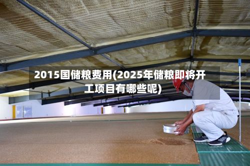 2015国储粮费用(2025年储粮即将开工项目有哪些呢)-第2张图片