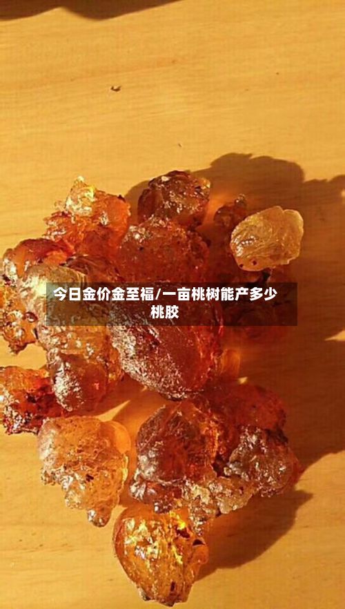 今日金价金至福/一亩桃树能产多少桃胶-第3张图片