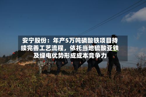 安宁股份：年产5万吨磷酸铁项目持续完善工艺流程，依托当地硫酸亚铁及绿电优势形成成本竞争力-第2张图片