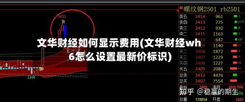 文华财经如何显示费用(文华财经wh6怎么设置最新价标识)-第2张图片