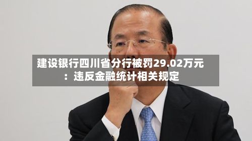 建设银行四川省分行被罚29.02万元：违反金融统计相关规定