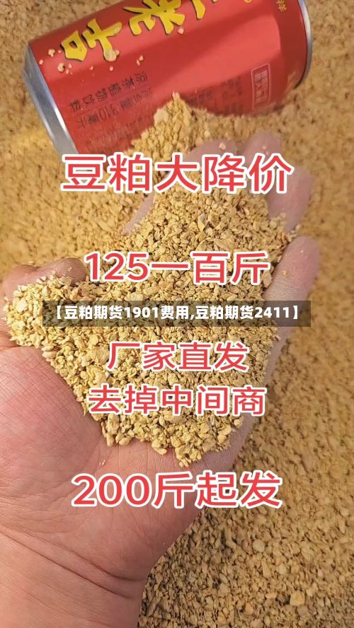 【豆粕期货1901费用,豆粕期货2411】
