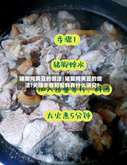 猪脚炖黄豆的做法/猪脚炖黄豆的做法?关键步骤和配料有什么讲究?-第3张图片