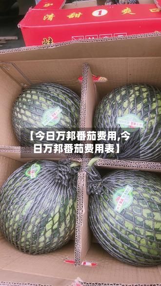 【今日万邦番茄费用,今日万邦番茄费用表】