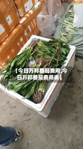 【今日万邦番茄费用,今日万邦番茄费用表】-第2张图片