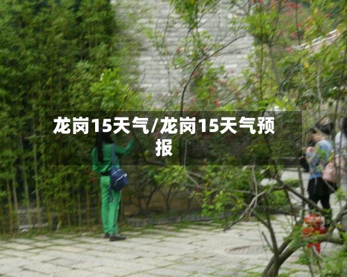 龙岗15天气/龙岗15天气预报-第3张图片