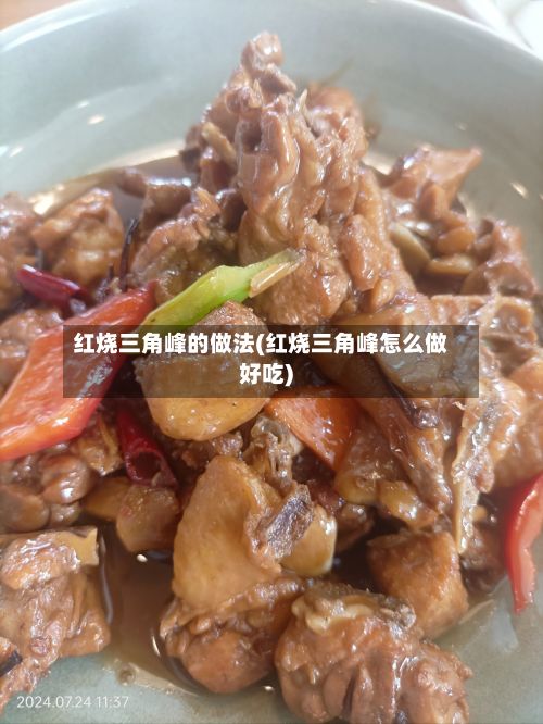 红烧三角峰的做法(红烧三角峰怎么做好吃)-第2张图片