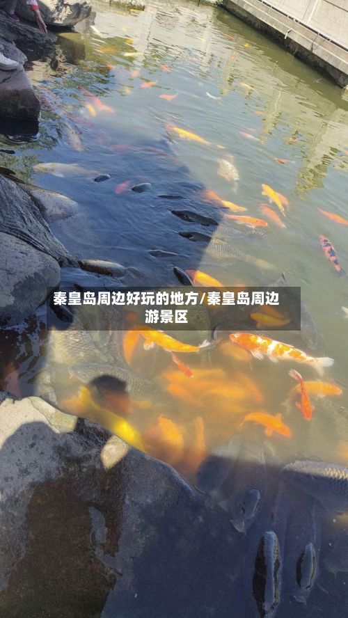 秦皇岛周边好玩的地方/秦皇岛周边游景区-第2张图片