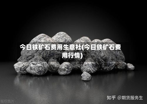 今日铁矿石费用生意社(今日铁矿石费用行情)-第2张图片