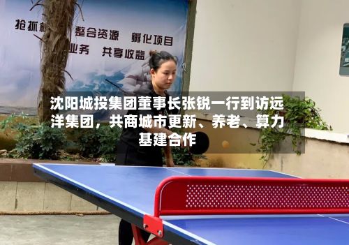 沈阳城投集团董事长张锐一行到访远洋集团，共商城市更新	、养老、算力基建合作-第2张图片