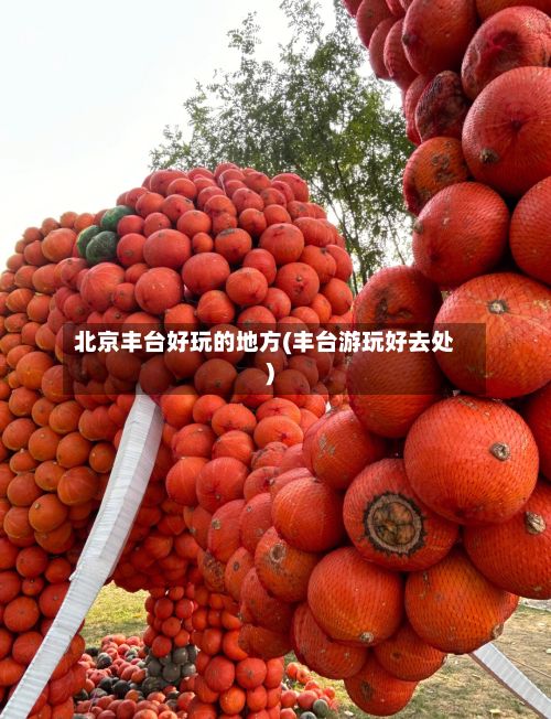 北京丰台好玩的地方(丰台游玩好去处)