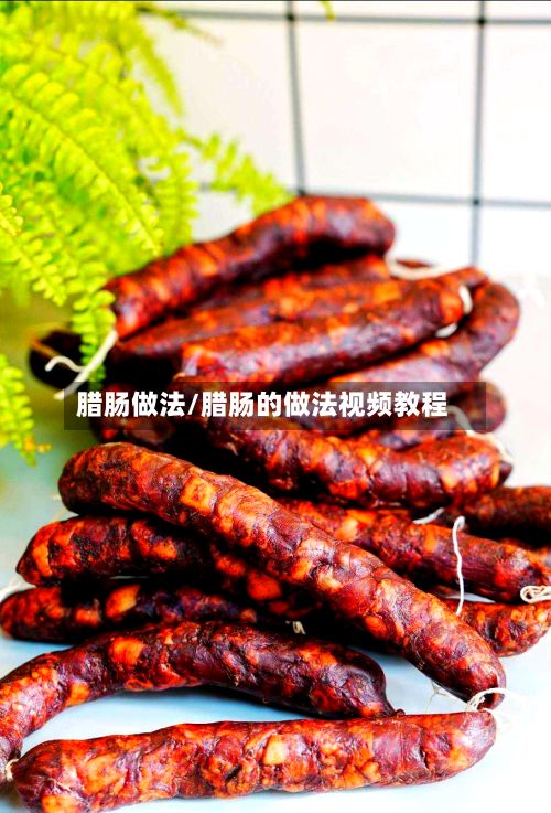 腊肠做法/腊肠的做法视频教程