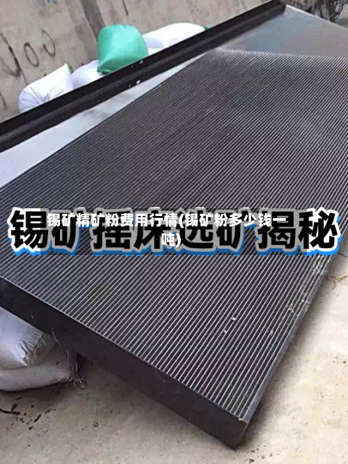锡矿精矿粉费用行情(锡矿粉多少钱一吨)