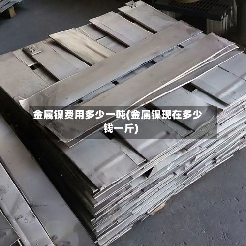 金属镍费用多少一吨(金属镍现在多少钱一斤)
